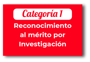 Categoría de investigación